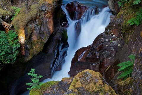 Wild creek