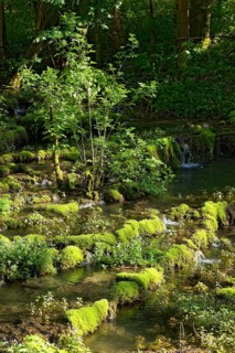 Travertine terraces