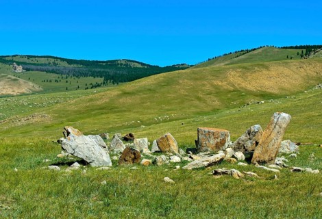 Ancient burial site with stag stones from the late Bronze Age