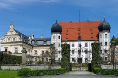 Castle Maxlrain