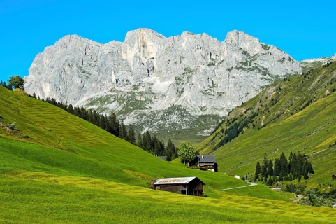 Meadows