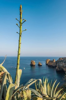 Ponta da Piedade