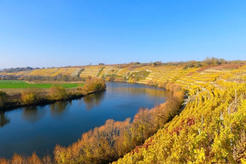 Neckar loop near Kirchheim am Neckar