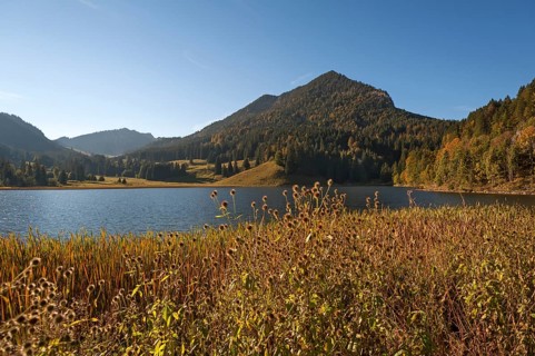 Lake Walchsee in autumn
