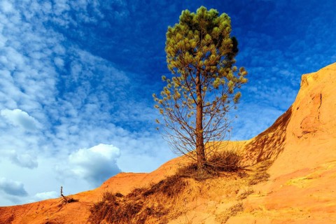 Ocher quarry Colorado Provencal