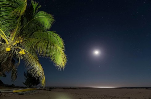 Sand beach at moonlight