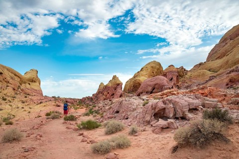 Solo young male hiker on White Dome Trail