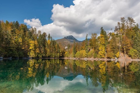 Autumn forest reflected in lake