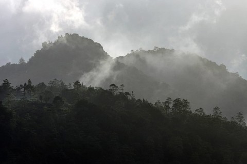 Mountains covered with vegetation