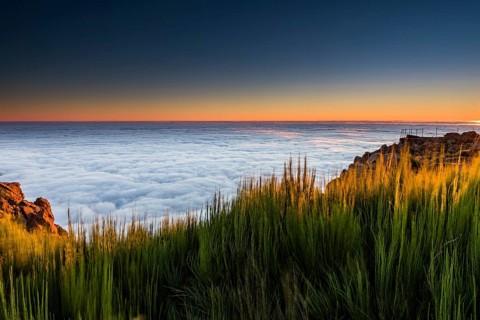 Sunrise with sea of mist