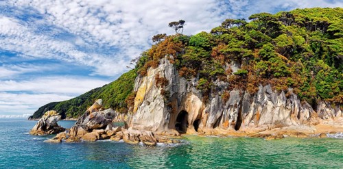 Tropical overgrown bizarre rock formation