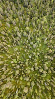 Drone shot