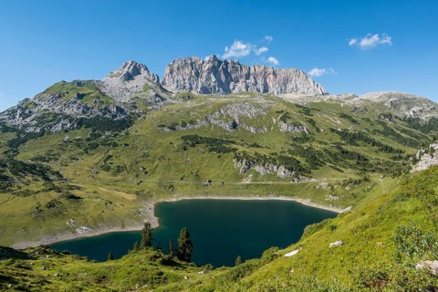 Formarinsee