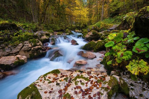 Hammersbach in autumn