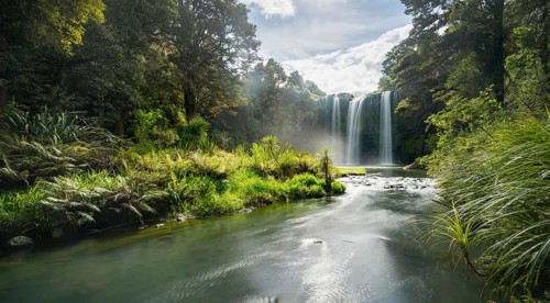 Whangarei Waterfall