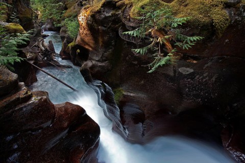 Wild creek