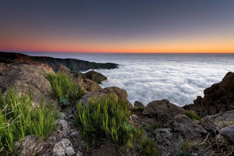 Sunrise with sea of mist