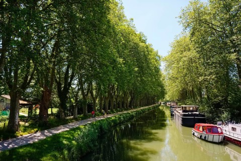 Canal du Midi