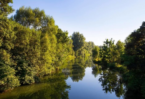 Altmuhl River with forest reflection