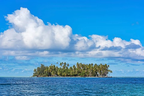 Small deserted island with palm trees
