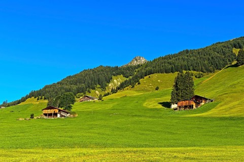 Alpine meadows with mountain farm and protection forest