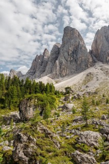 Rocks