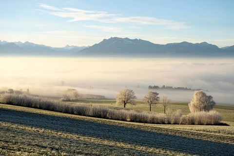 Foggy atmosphere