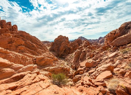 Rainbow Vista Trail
