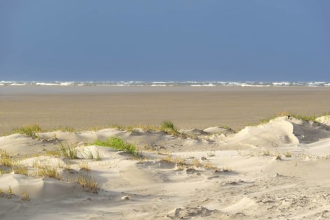 Foredunes with sand drifts