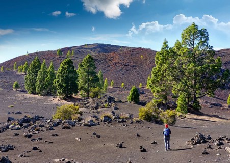 Woman on trail