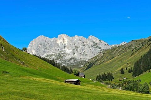 Meadows