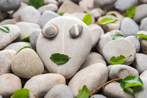 Face made of stones