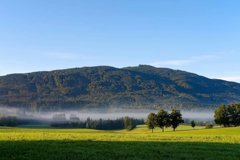Sulzkopf