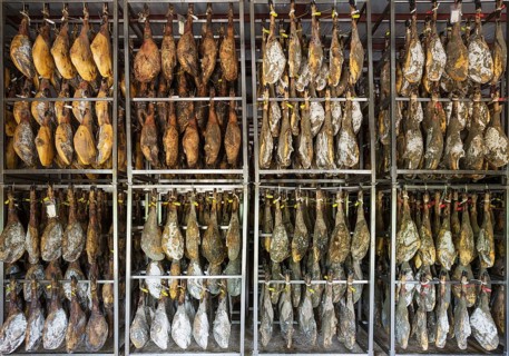 Ham of Black Iberian Pig in a curing factory