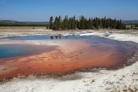 Opal Pool