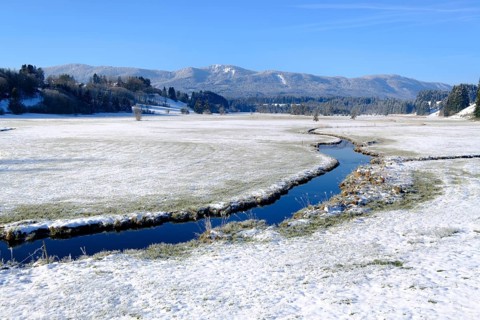 Nature reserve