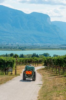 Vineyard vehicle for spraying between vines