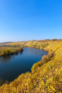 Neckar loop near Kirchheim am Neckar