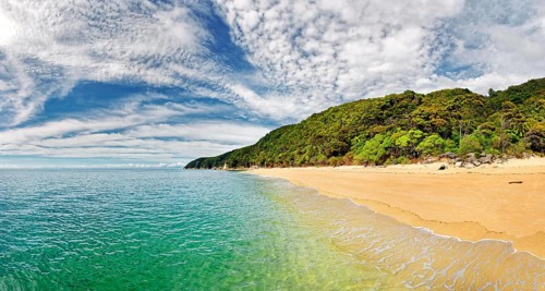 Gold Yellow sandy beach with tropical vegetation