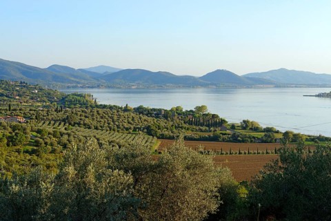 View on Lake Trasimeno