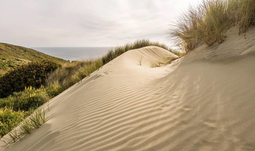 Sand Dune