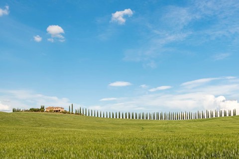 Country estate Poggio Covili with road lined with cypress trees