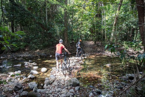 Two cyclists with e-mountain bikes in rainforest