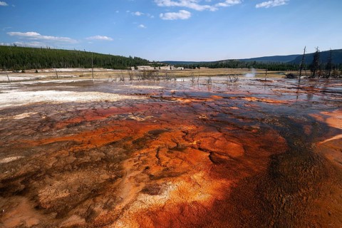 Mineral deposits in Biscuit Basin