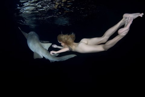 Nude beautiful woman swimming at night with a shark