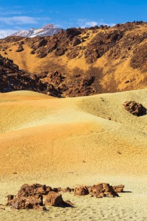 Pumice stone field