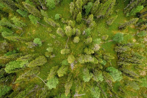 Drone shot