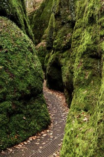 Canyon Drachenschlucht