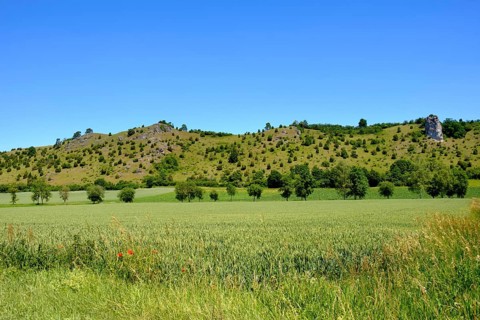 Dry slope and field near Dollnstein