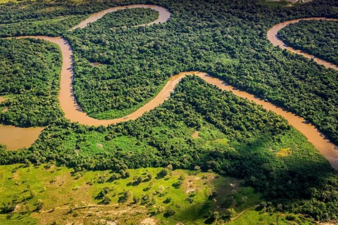 Rio Aquidauana flows through jungle